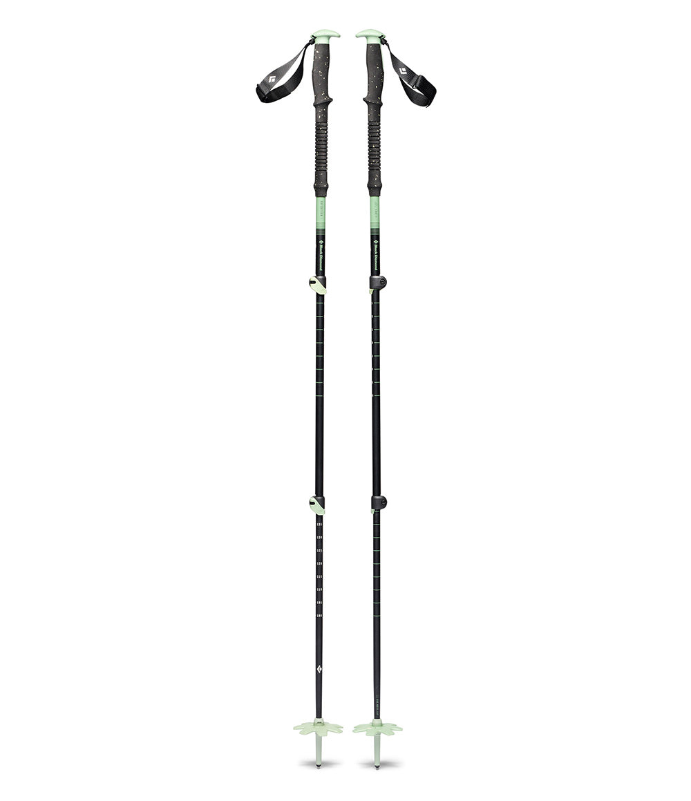 Expedition 3 Ski Poles