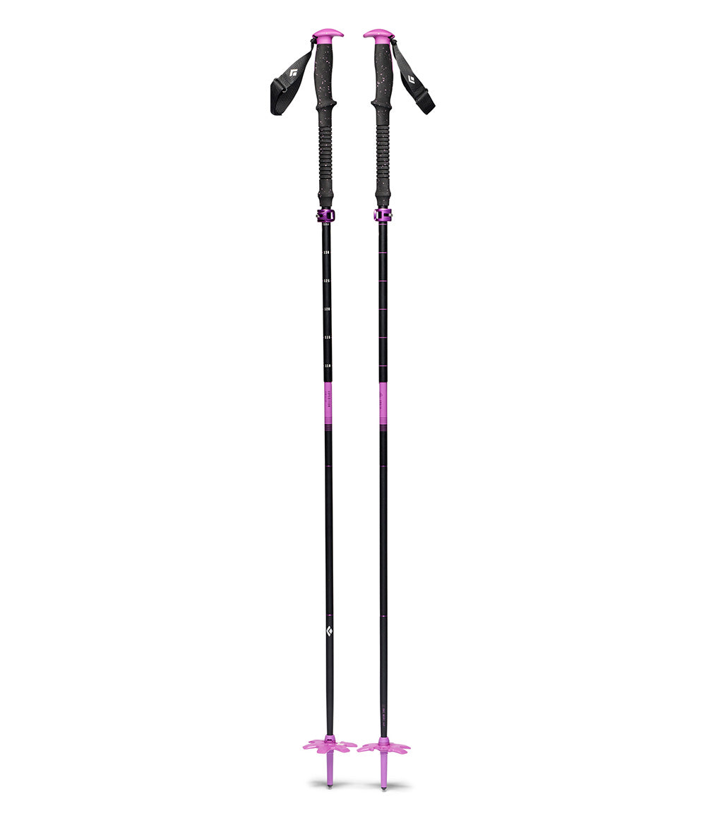 Expedition Compactor Ski Poles