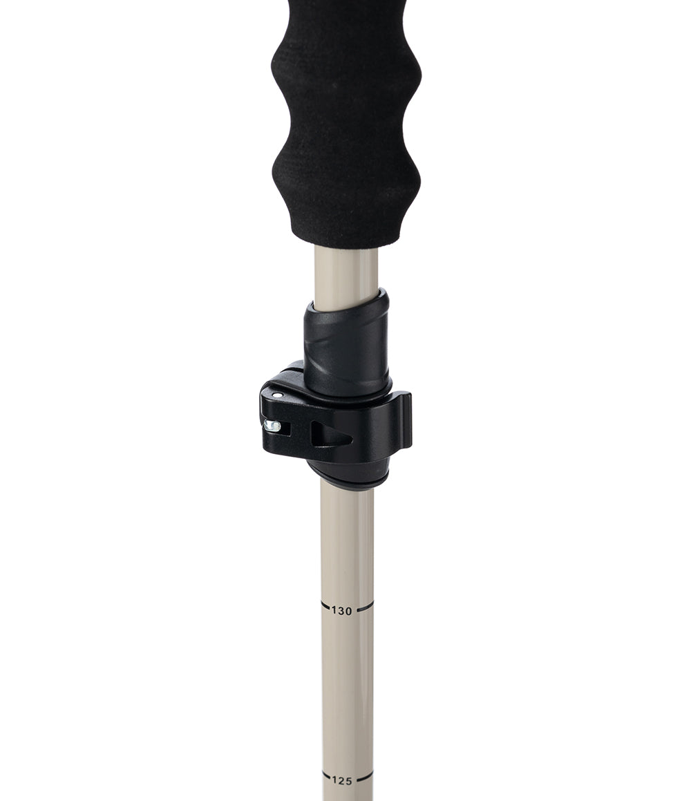 Pahto Ski Pole