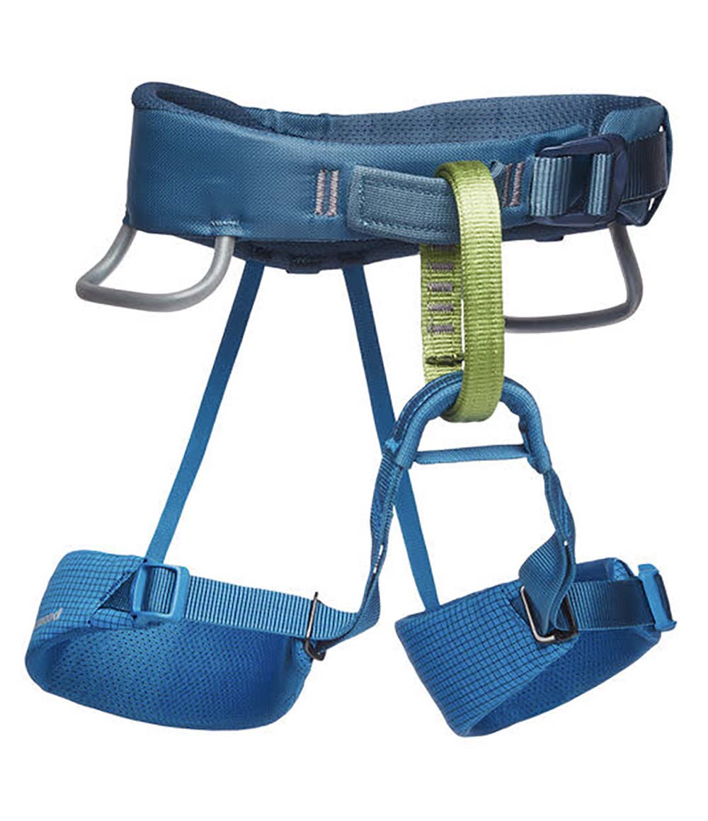 K Momentum Harness
