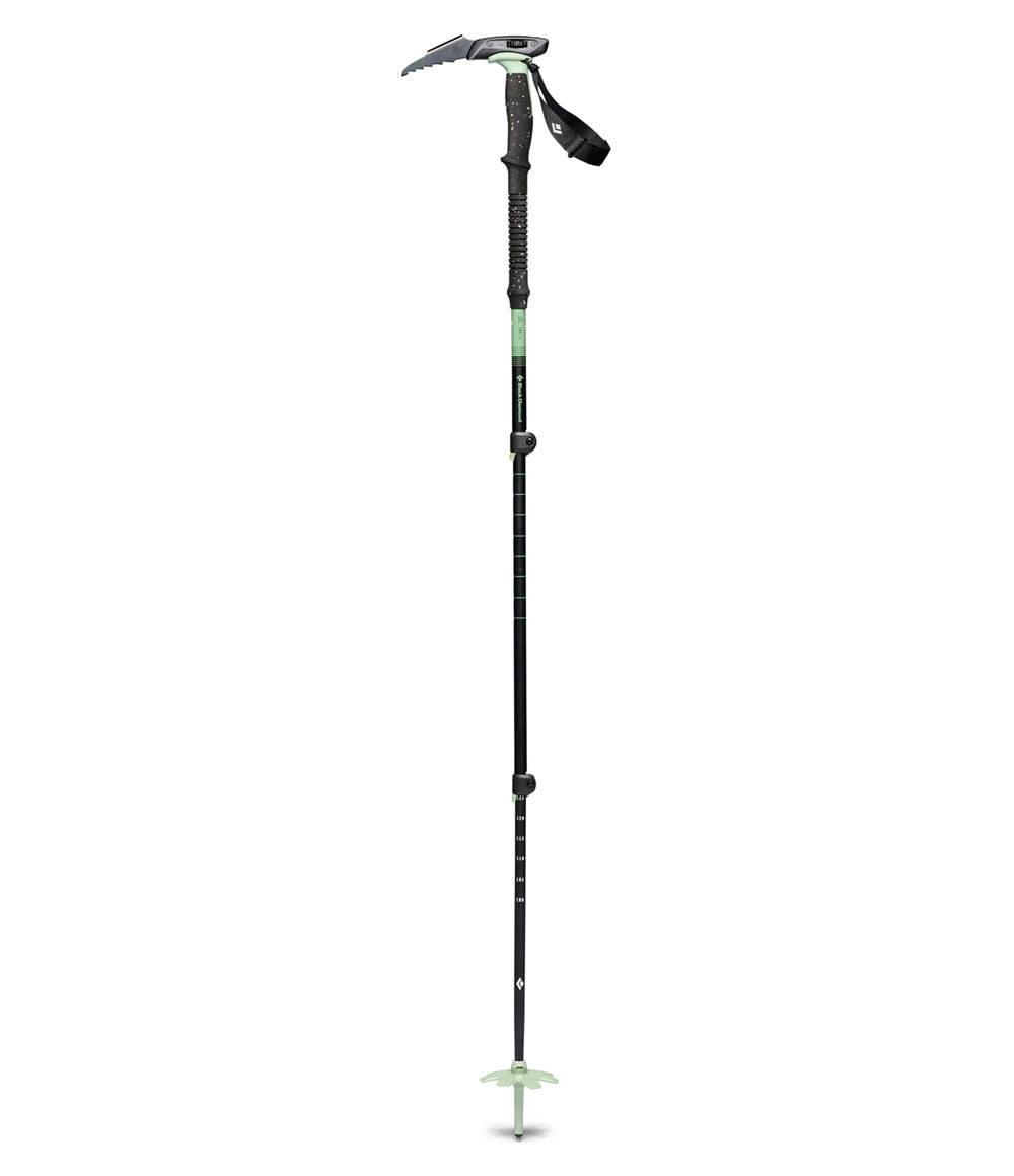 Expedition 3 Whippet Pole