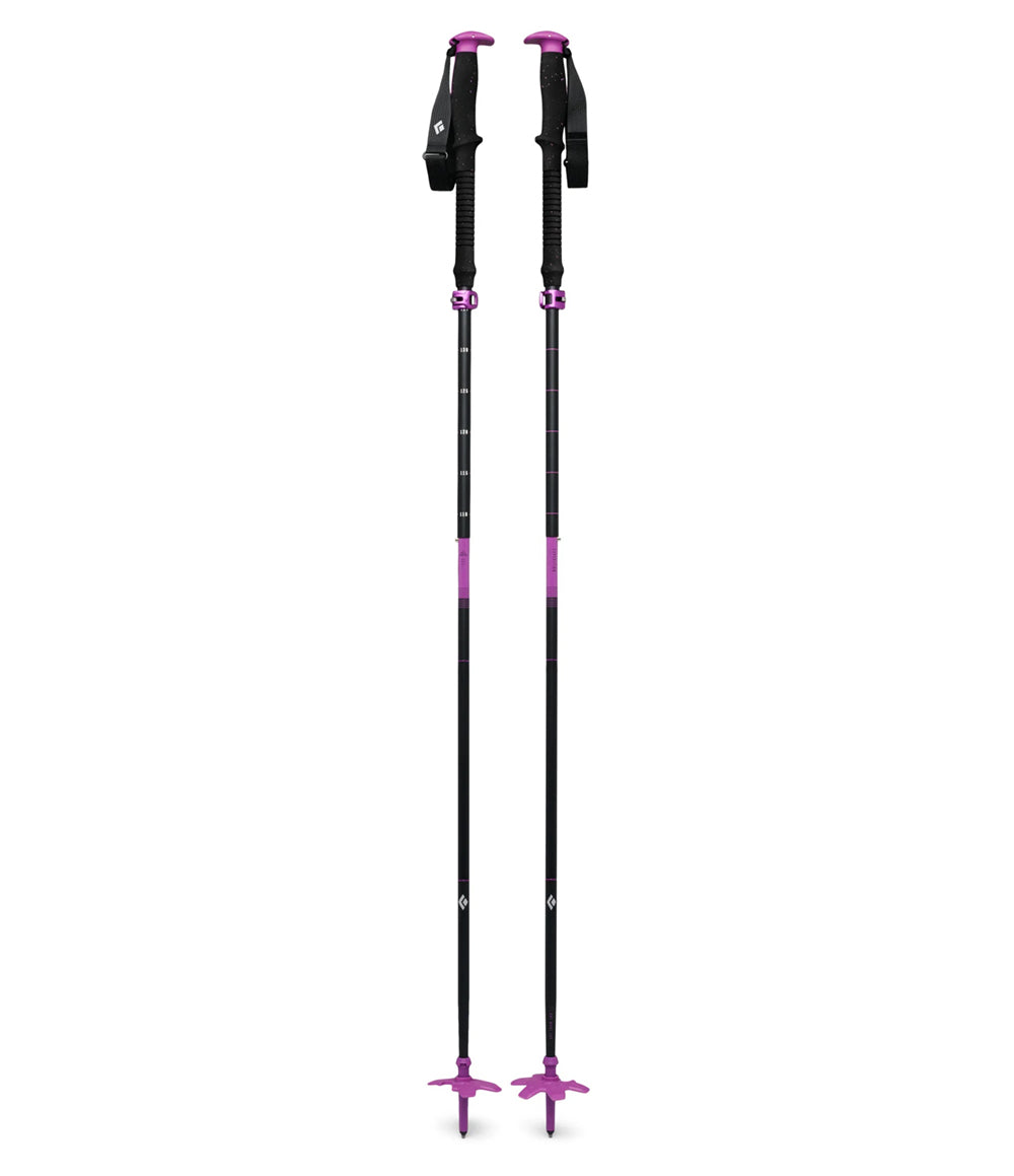 Expedition Ski Poles