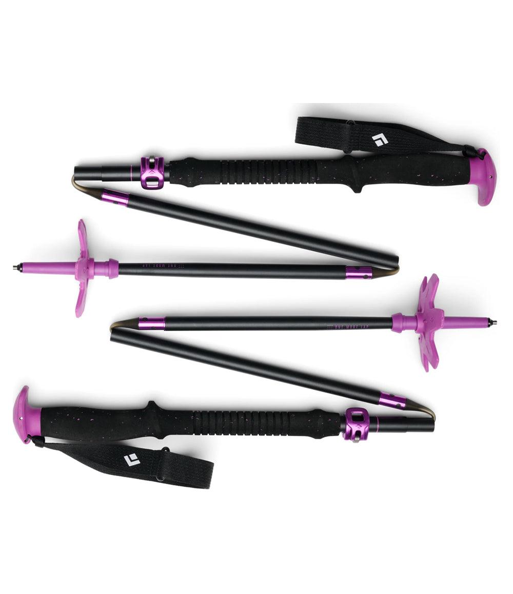 Expedition Ski Poles