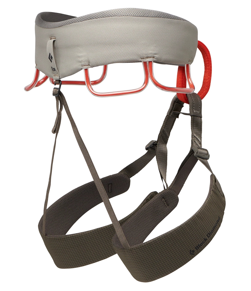 M Momentum Harness