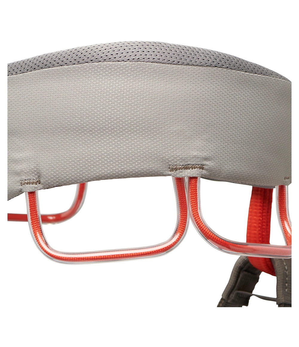 M Momentum Harness