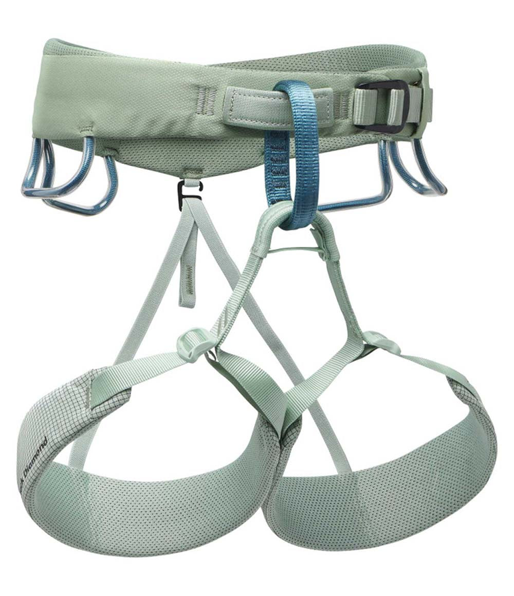 W Momentum Harness