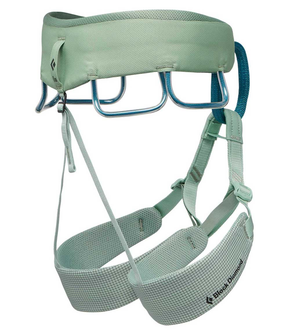 W Momentum Harness