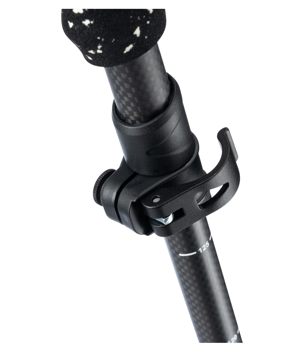 Pahto Poles Carbon