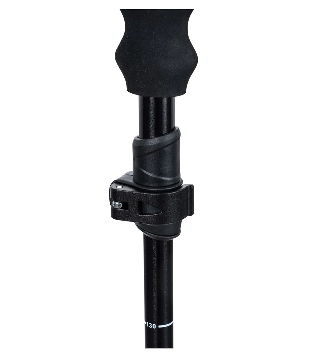 Pahto Ski Pole