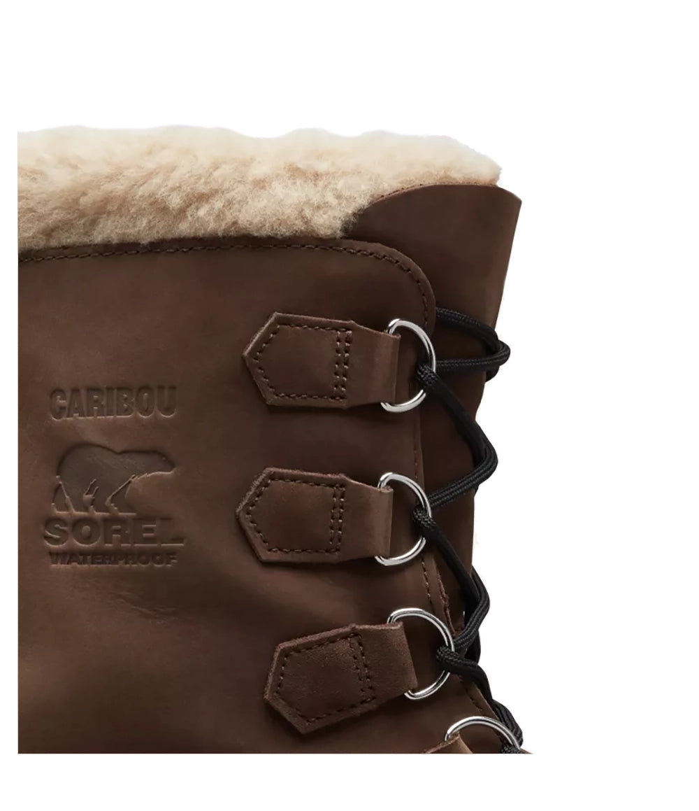 M Caribou