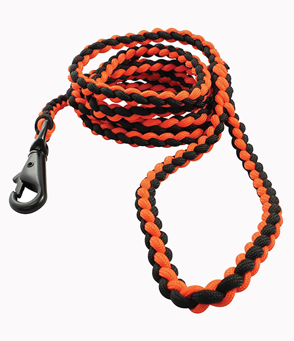 Survival Dog Lead 6 ft