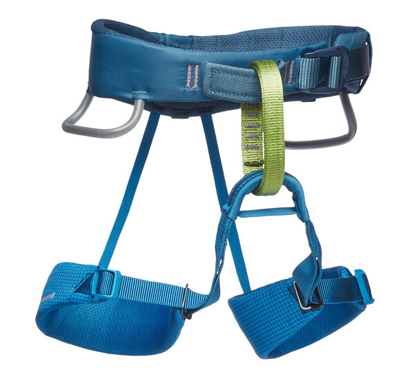 K Momentum Harness