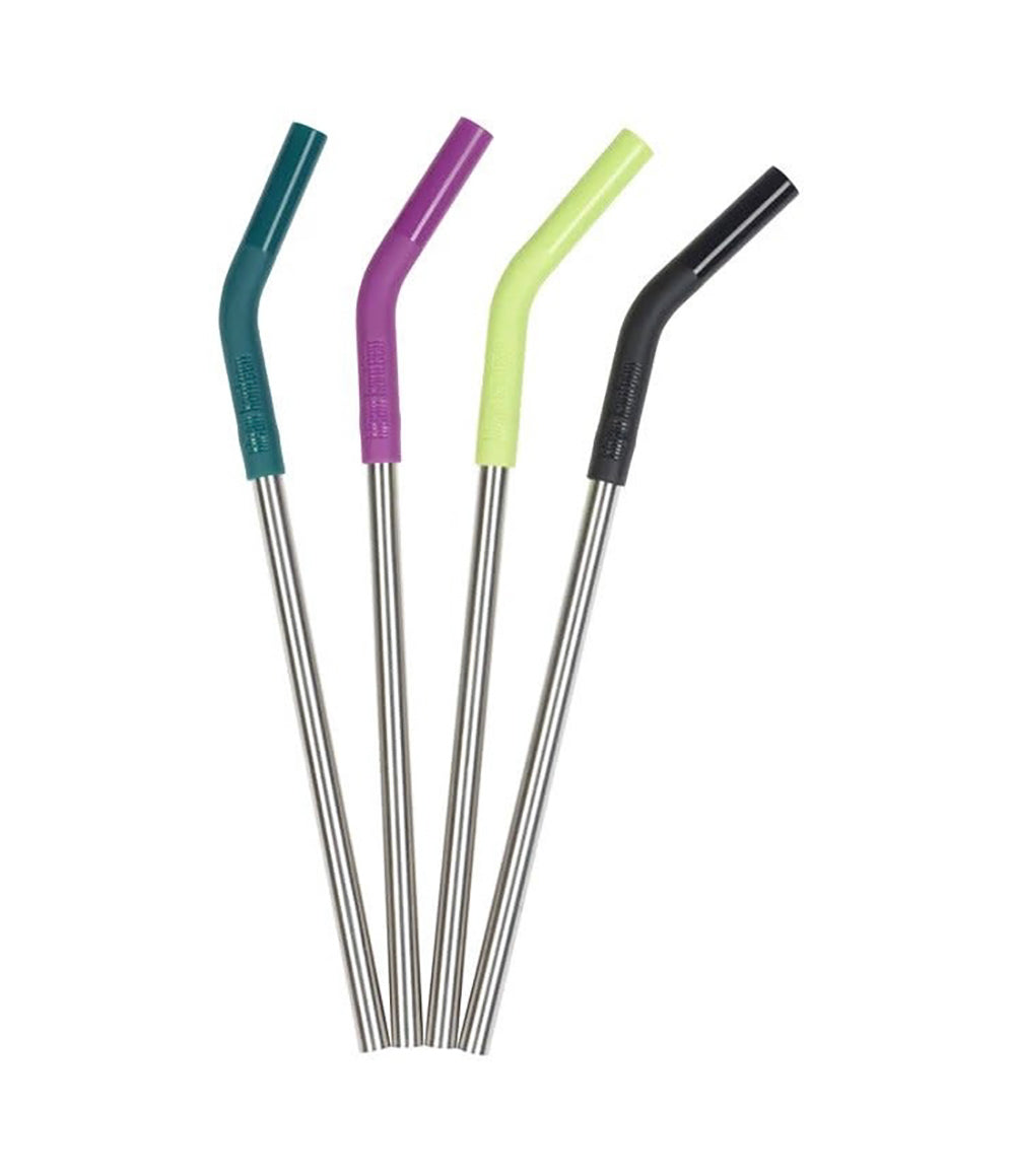 4 Pack Steel Straws