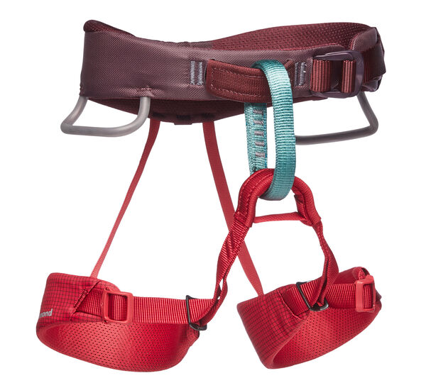 K Momentum Harness