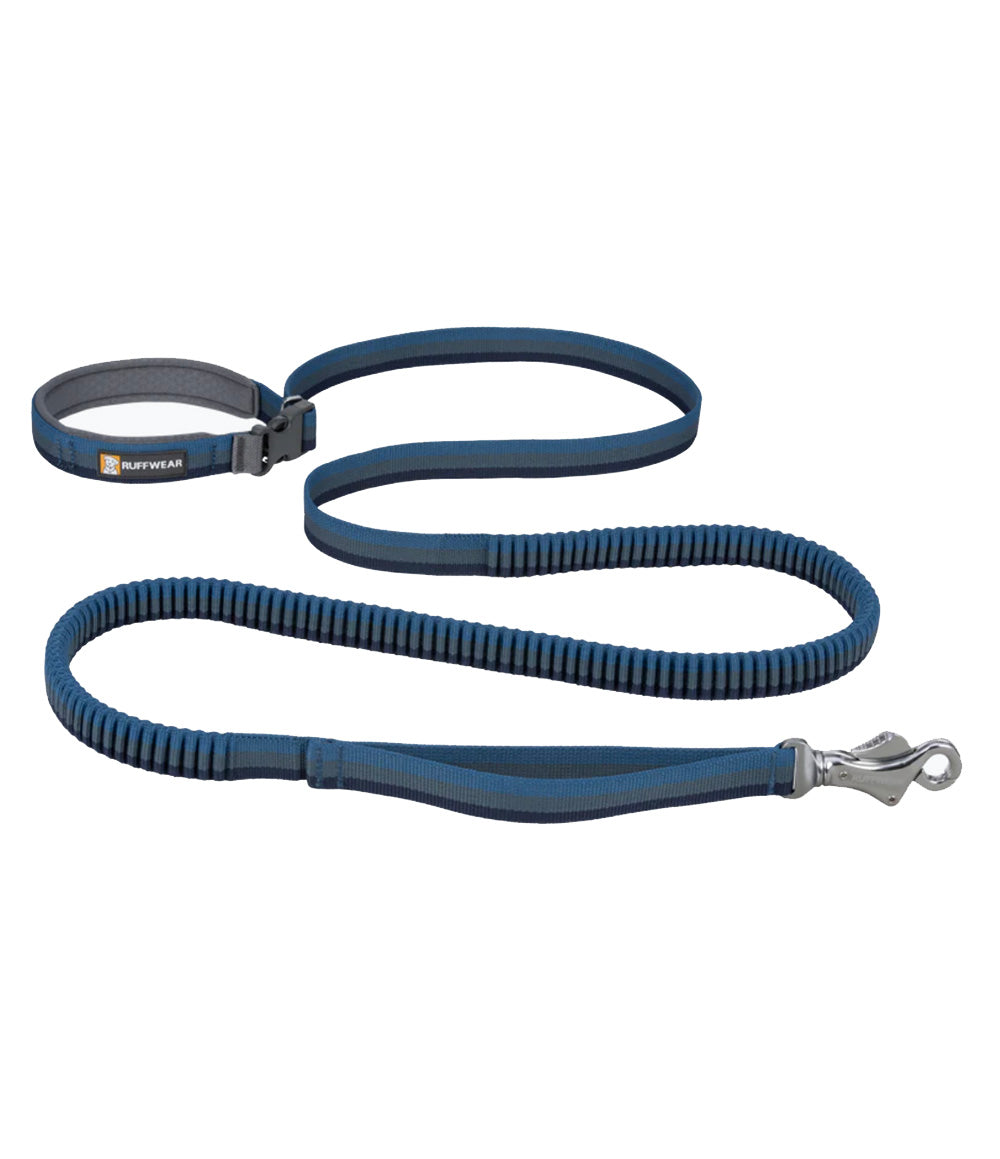 Roamer Leash