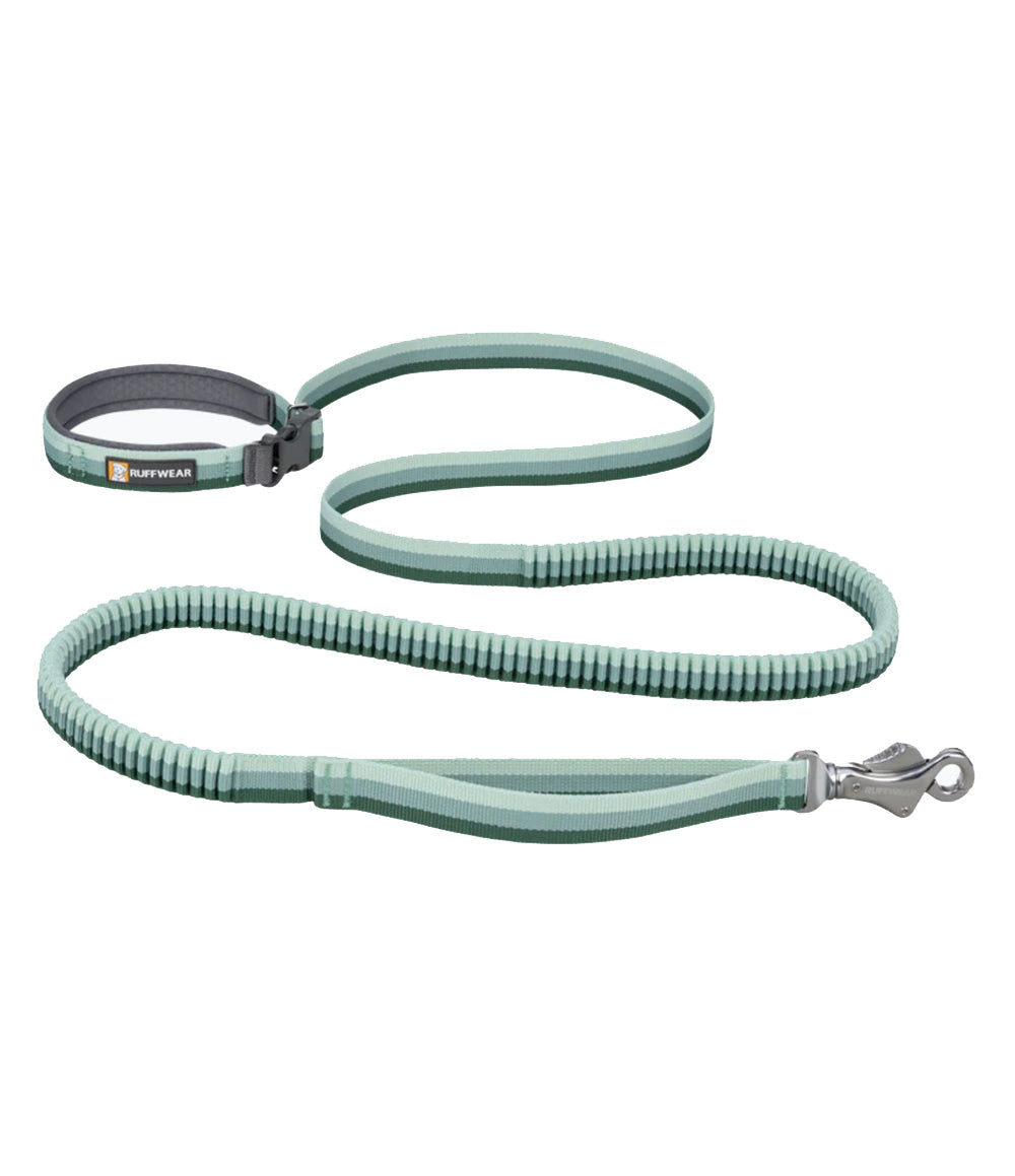 Roamer Leash