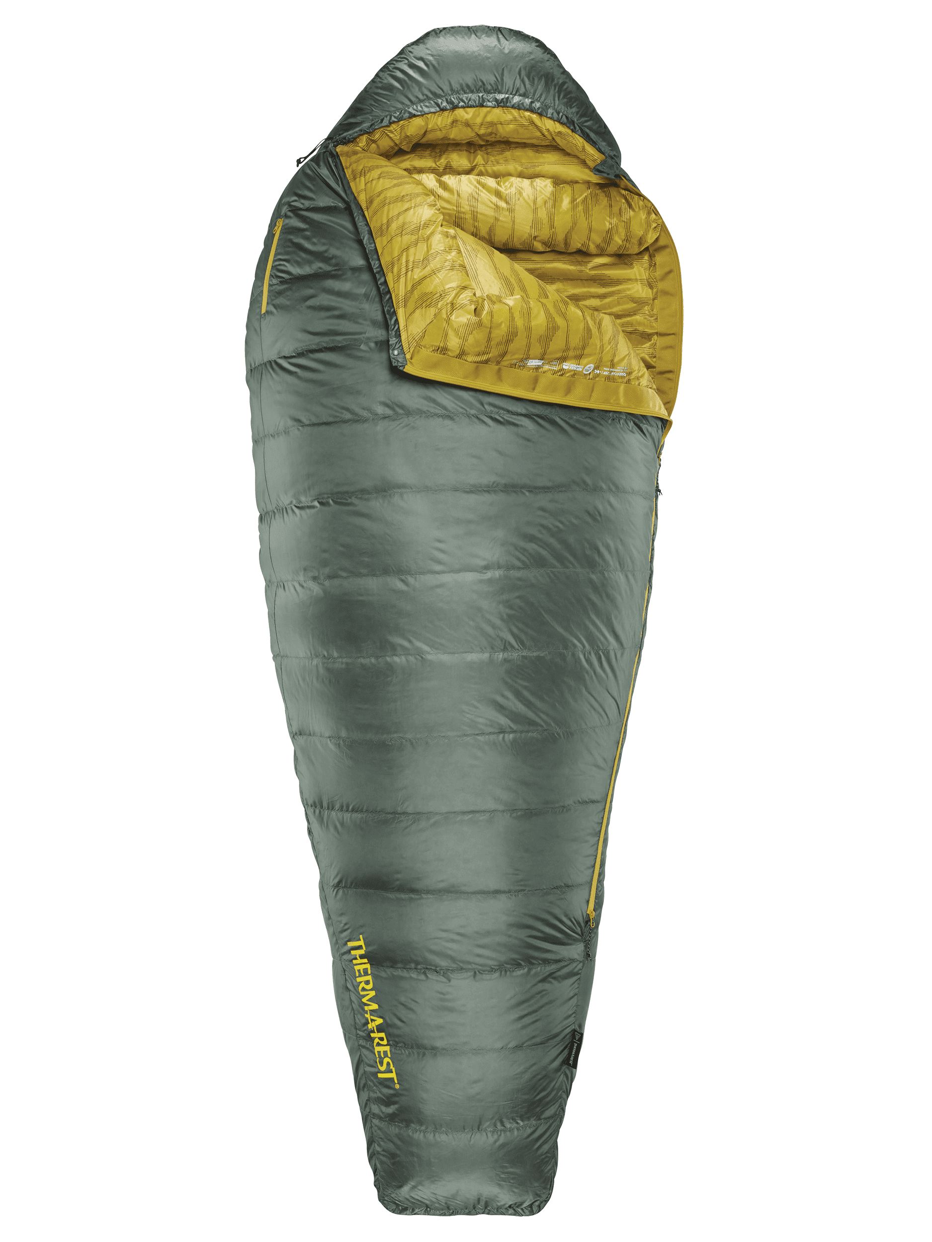 Questar 20