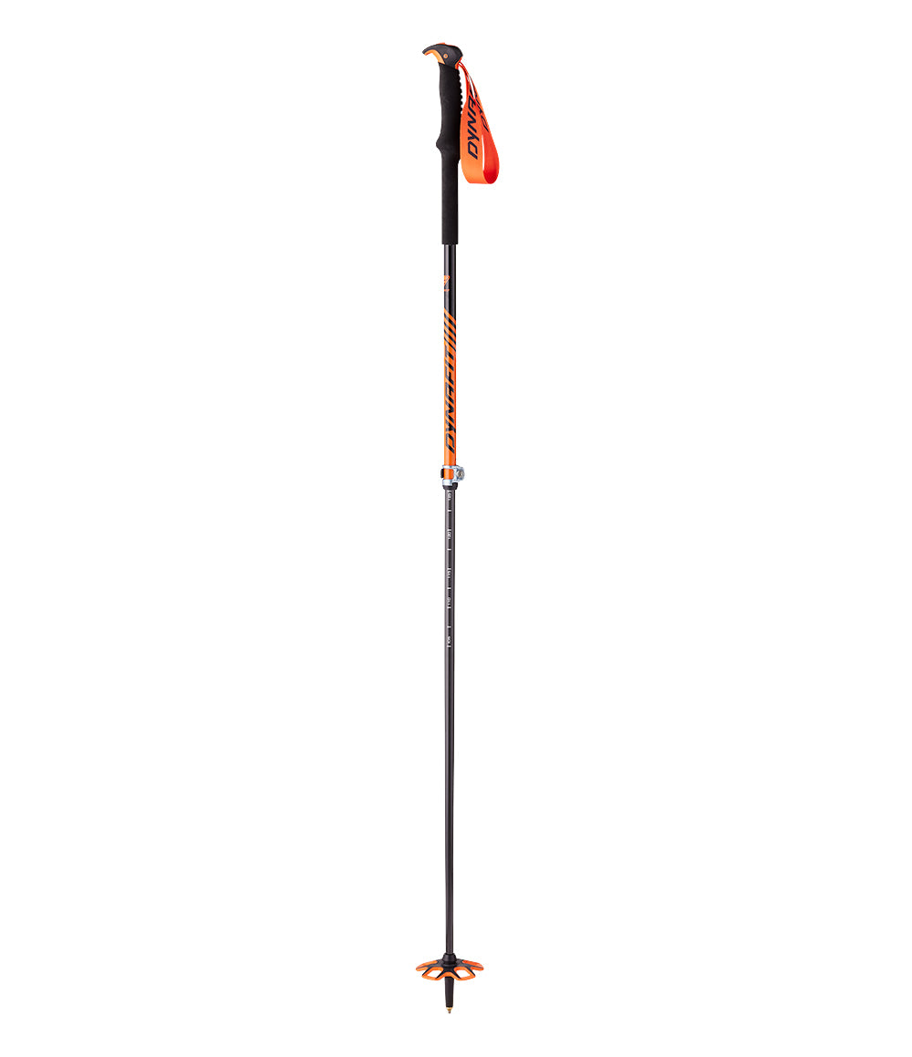 Speed Vario 2.0 Pole Dawn