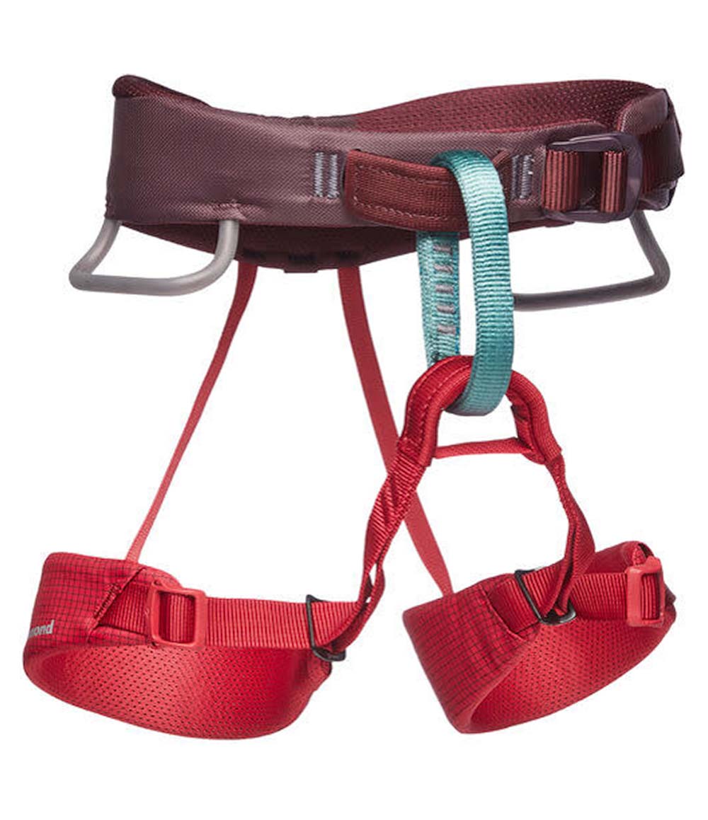 K Momentum Harness