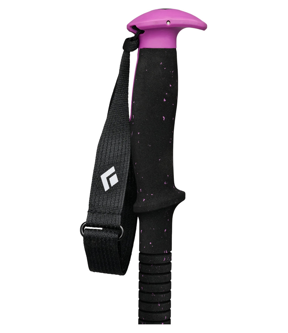 Expedition Ski Poles