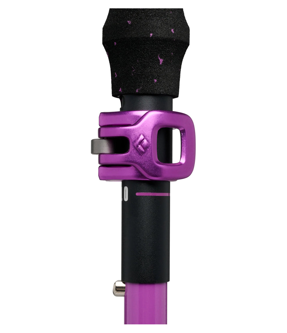 Expedition Ski Poles
