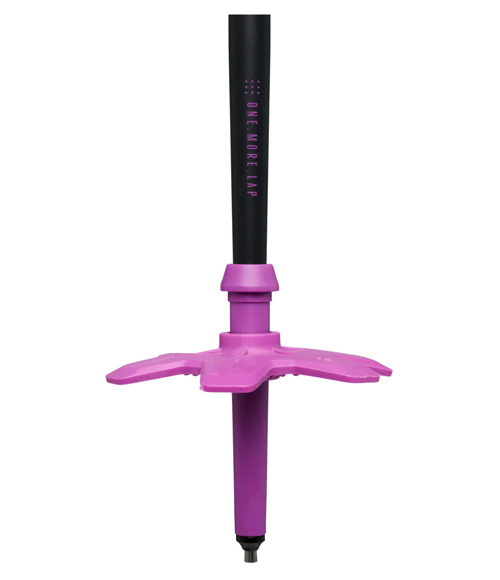 Expedition Ski Poles