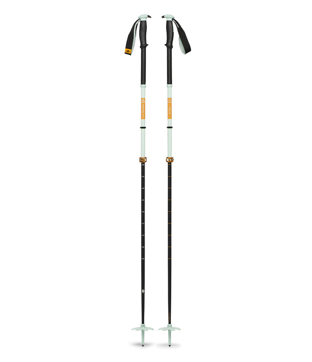 Traverse Pro Ski Poles