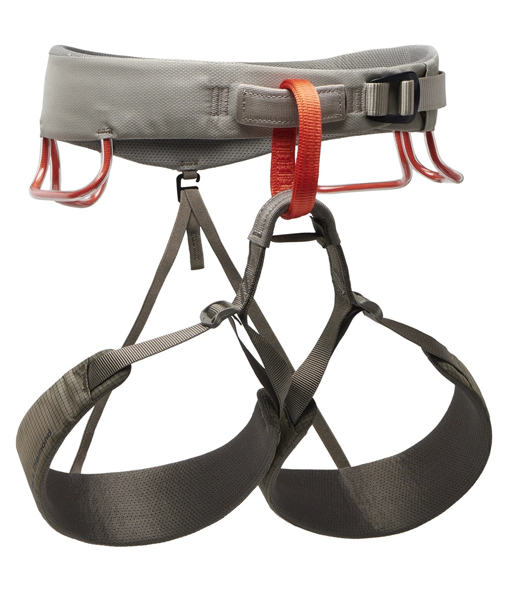 M Momentum Harness