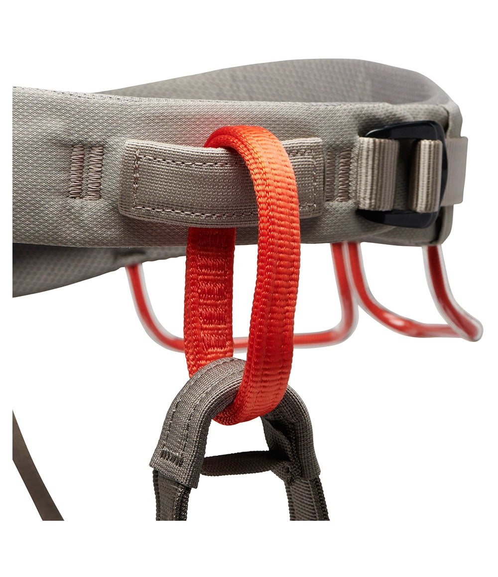 M Momentum Harness