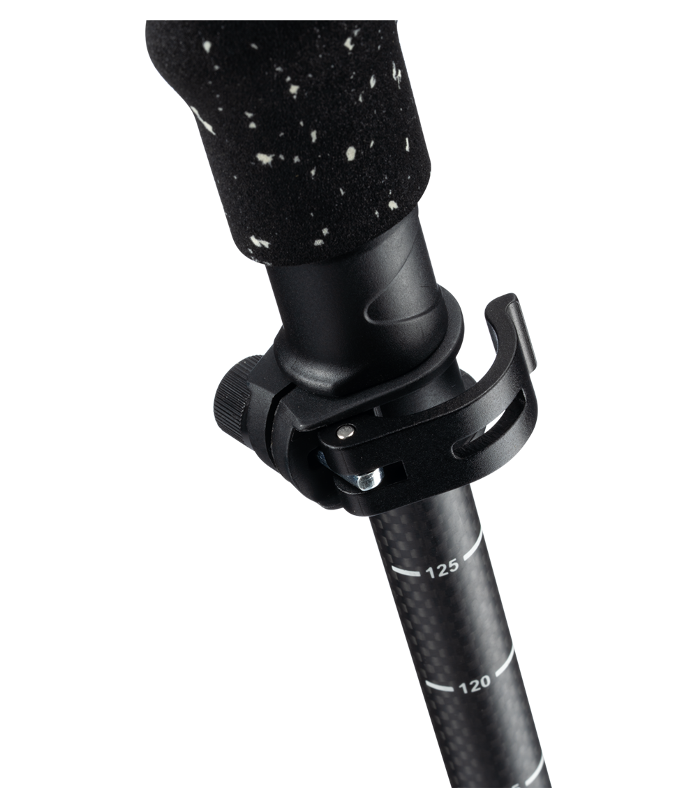 Tahoma Poles Carbon